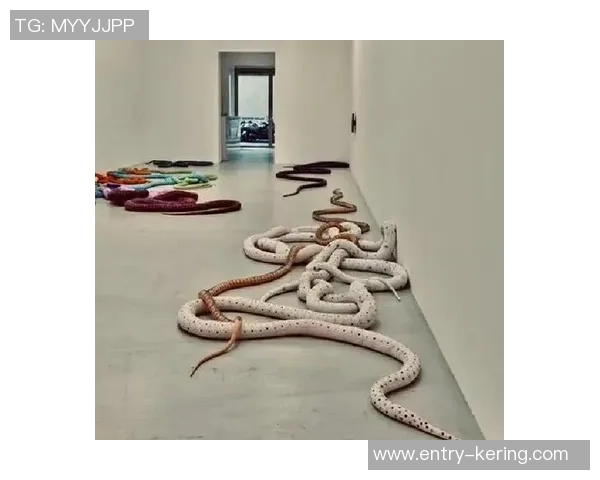 加莱诺的艺术世界探索与文化交融之旅